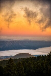 熊本で利用できるペット火葬の出張サービスとは？