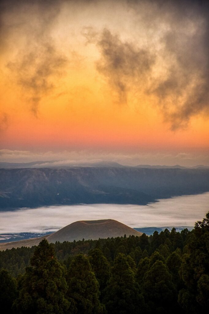熊本で利用できるペット火葬の出張サービスとは？