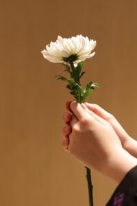 ペットの葬儀を安心して任せる業者はどこ？
