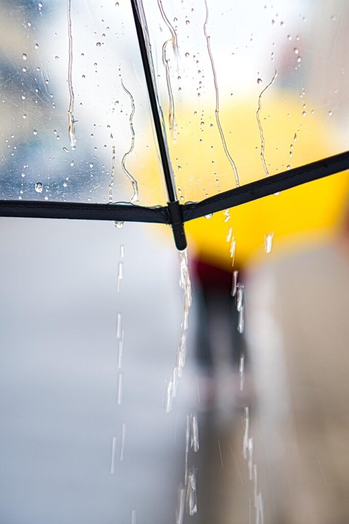 ペットの火葬を雨の日に行う場合はどうする？